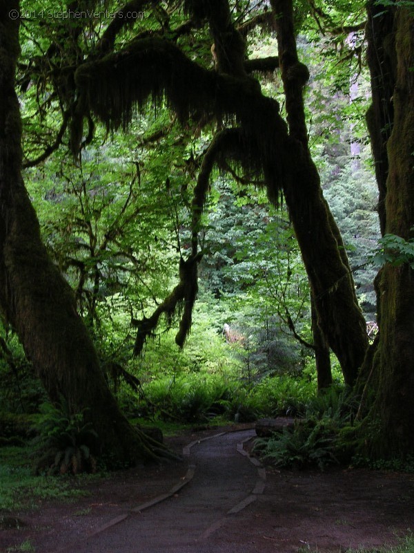 Backpacking in Olympic NP 2005 - StephenVenters.com