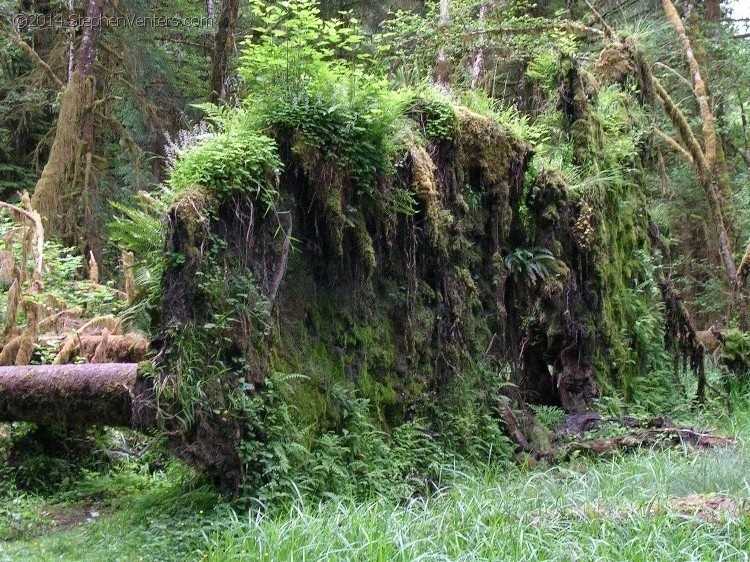 Backpacking in Olympic NP 2005 - StephenVenters.com