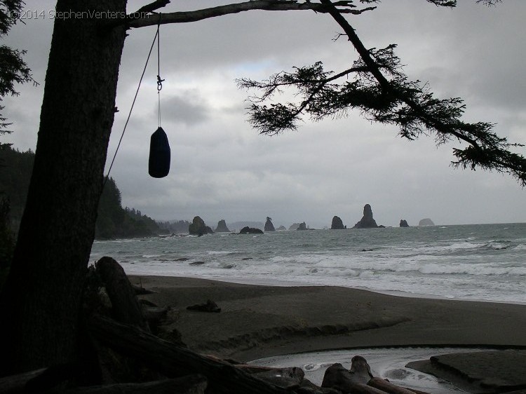 Backpacking in Olympic NP 2005 - StephenVenters.com