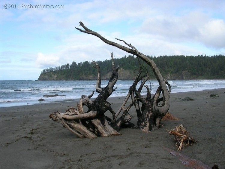 Backpacking in Olympic NP 2005 - StephenVenters.com