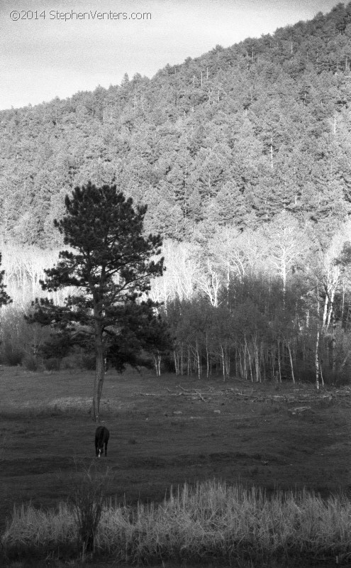 Climbing Devil's Tower 2003 - StephenVenters.com