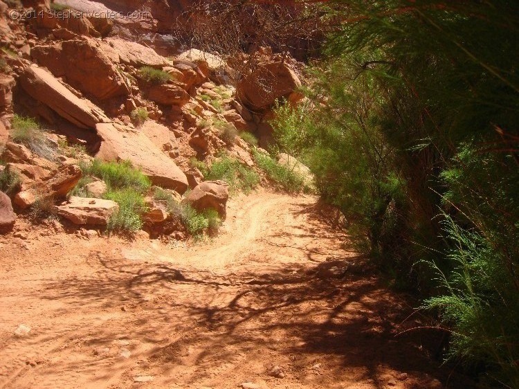 Mountain Biking in Moab 2010 - StephenVenters.com