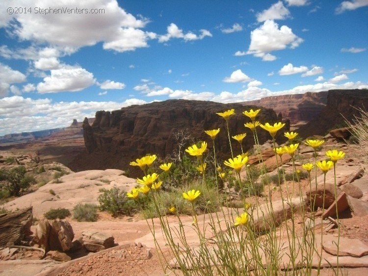 Mountain Biking in Moab 2010 - StephenVenters.com