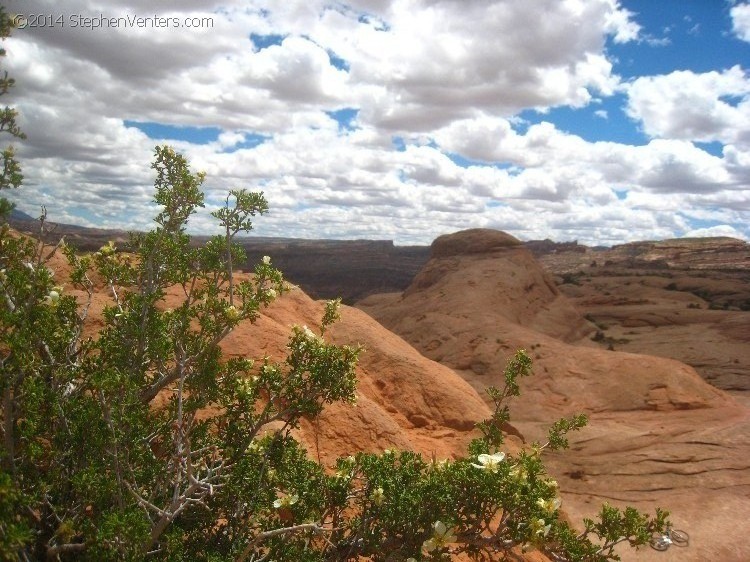 Mountain Biking in Moab 2010 - StephenVenters.com