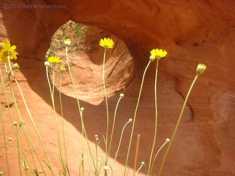 Mountain Biking in Moab 2010 - StephenVenters.com