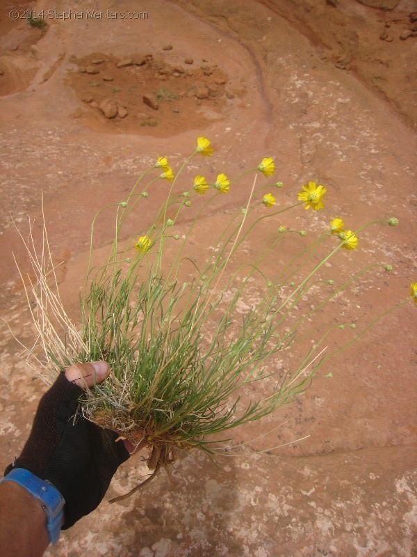 Mountain Biking in Moab 2010 - StephenVenters.com