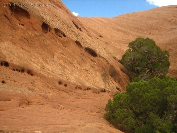 Mountain Biking in Moab 2010 - StephenVenters.com