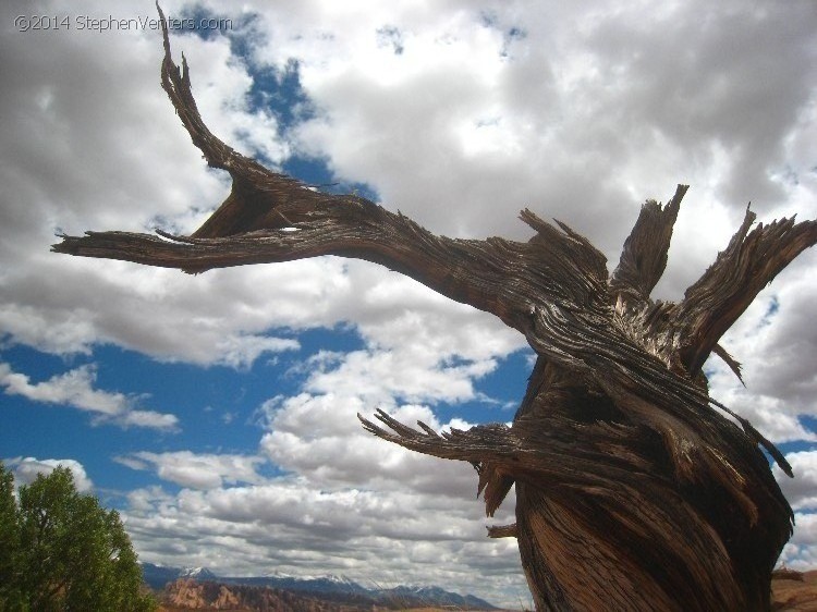 Mountain Biking in Moab 2010 - StephenVenters.com