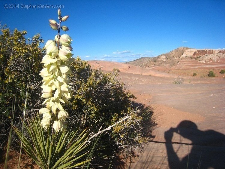 Mountain Biking in Moab 2010 - StephenVenters.com