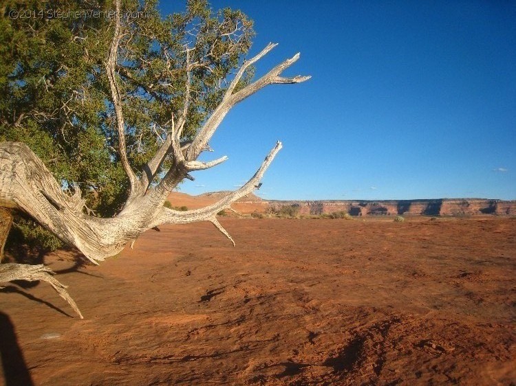 Mountain Biking in Moab 2010 - StephenVenters.com