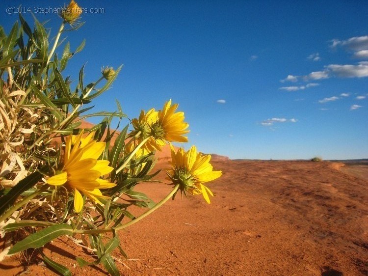 Mountain Biking in Moab 2010 - StephenVenters.com