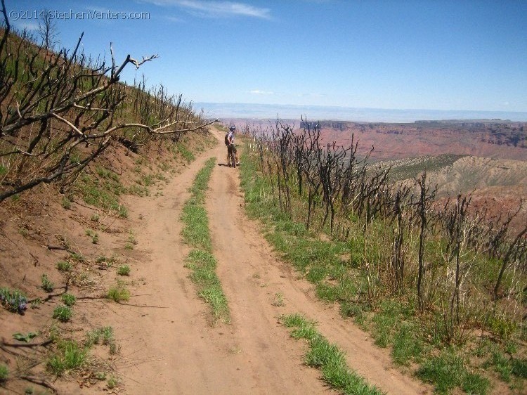 Mountain Biking in Moab 2010 - StephenVenters.com