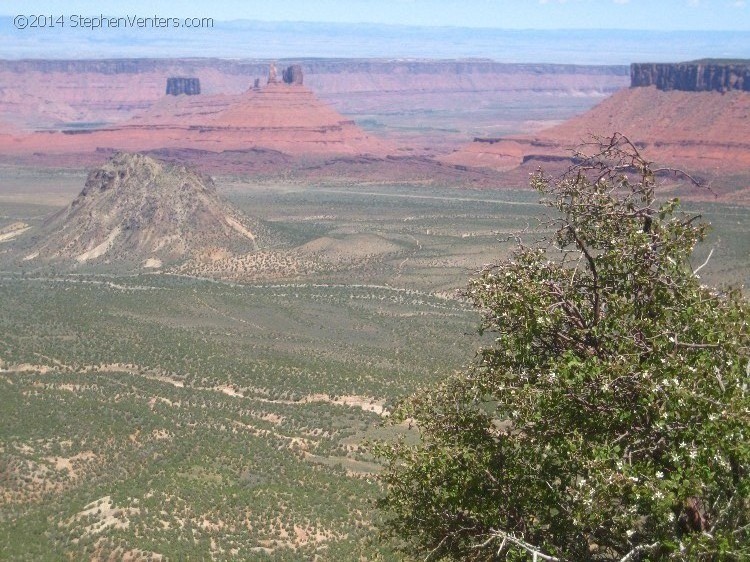 Mountain Biking in Moab 2010 - StephenVenters.com