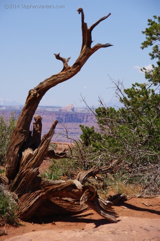 Mountain Biking in Moab 2010 - StephenVenters.com