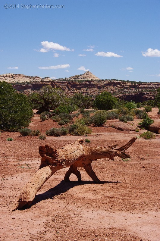 Mountain Biking in Moab 2010 - StephenVenters.com