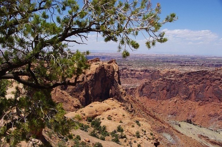 Mountain Biking in Moab 2010 - StephenVenters.com