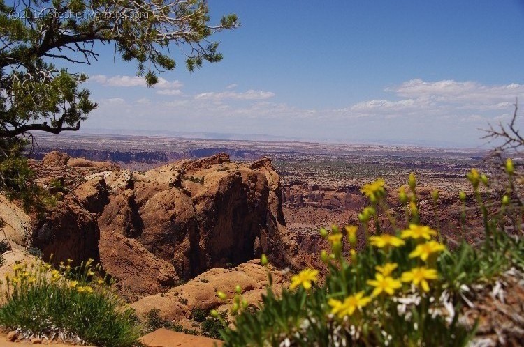 Mountain Biking in Moab 2010 - StephenVenters.com