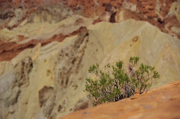 Mountain Biking in Moab 2010 - StephenVenters.com