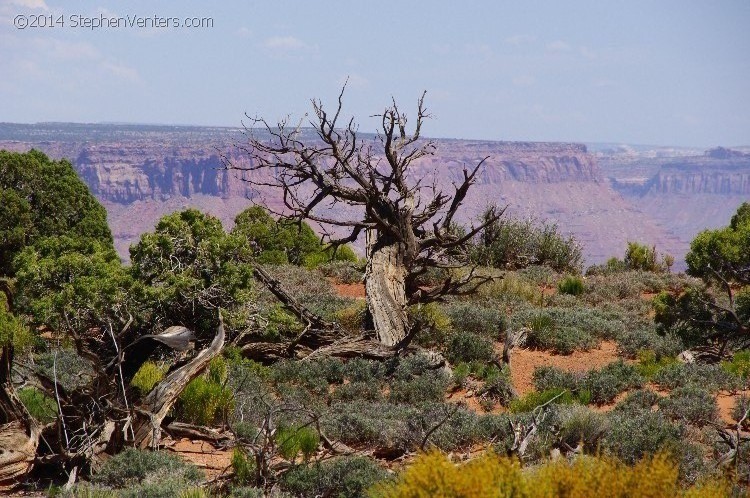 Mountain Biking in Moab 2010 - StephenVenters.com