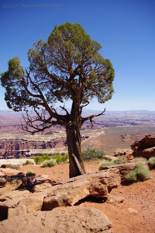 Mountain Biking in Moab 2010 - StephenVenters.com