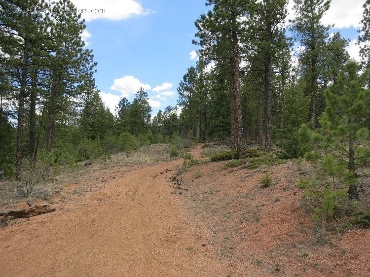 Mountain Biking in Moab 2013 - StephenVenters.com