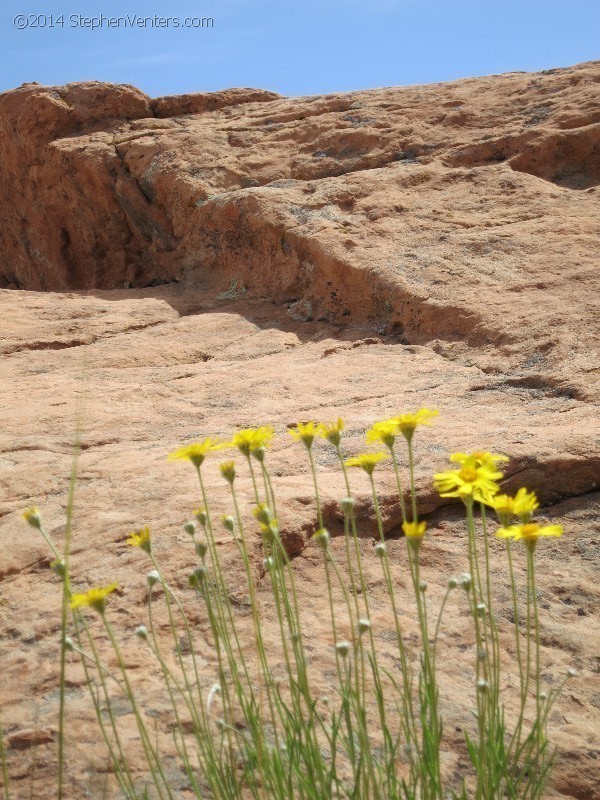 Mountain Biking in Moab 2013 - StephenVenters.com