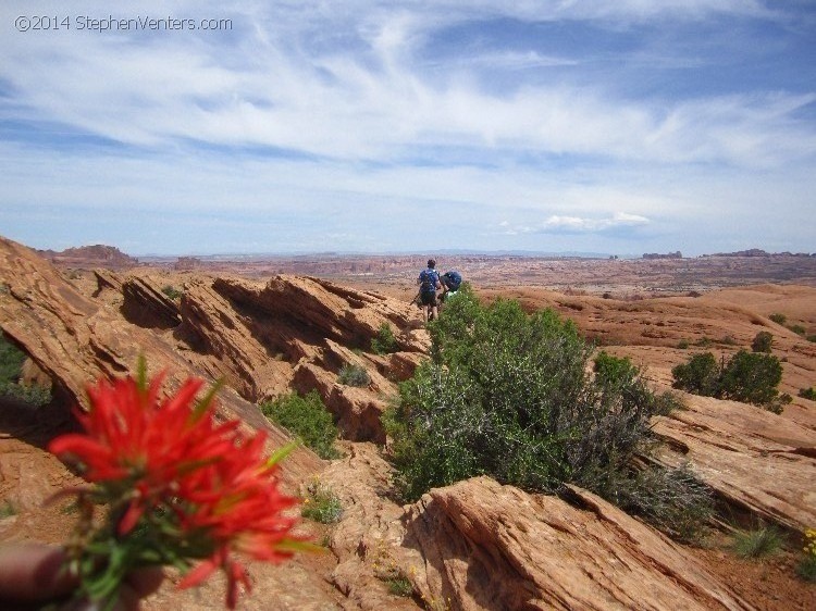 Mountain Biking in Moab 2013 - StephenVenters.com