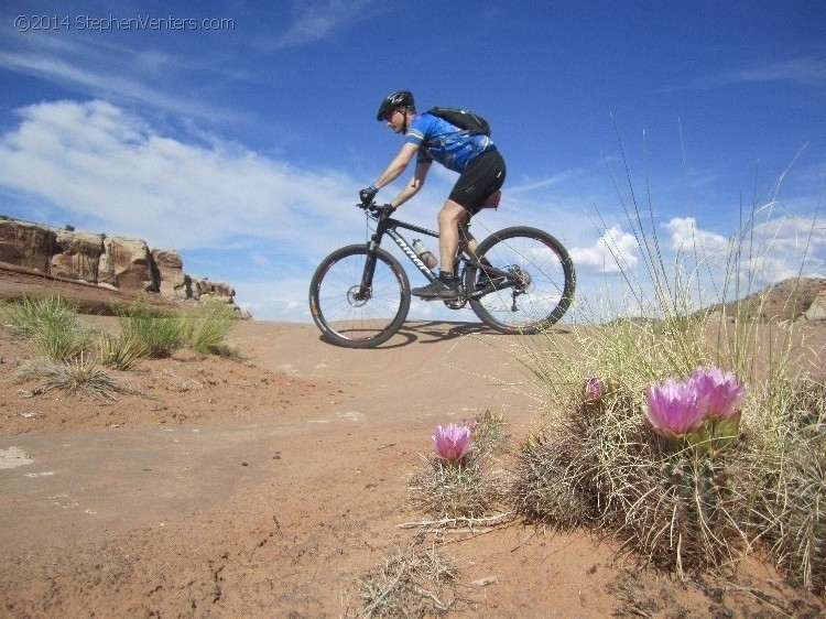 Mountain Biking in Moab 2013 - StephenVenters.com