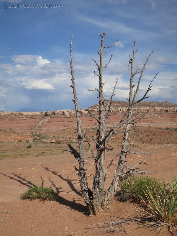 Mountain Biking in Moab 2013 - StephenVenters.com