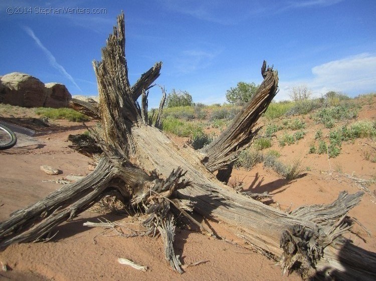 Mountain Biking in Moab 2013 - StephenVenters.com