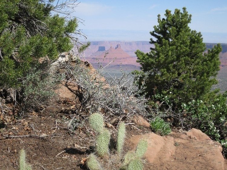 Mountain Biking in Moab 2013 - StephenVenters.com