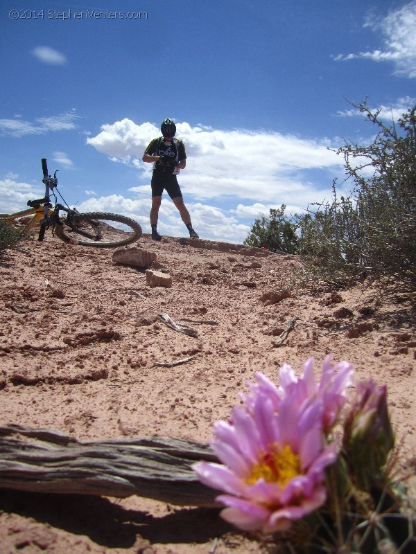 Mountain Biking in Moab 2013 - StephenVenters.com