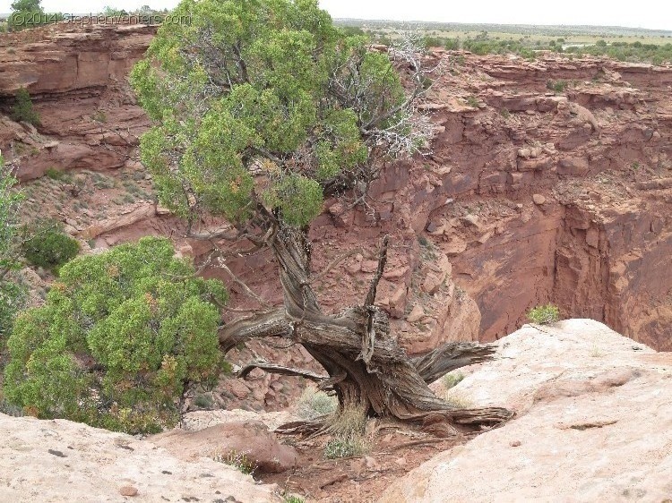 Mountain Biking in Moab 2013 - StephenVenters.com