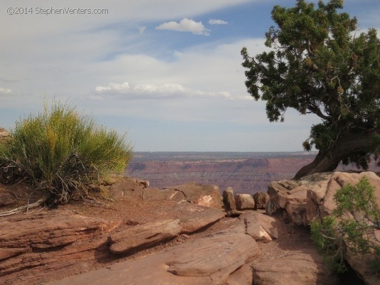 Mountain Biking in Moab 2013 - StephenVenters.com