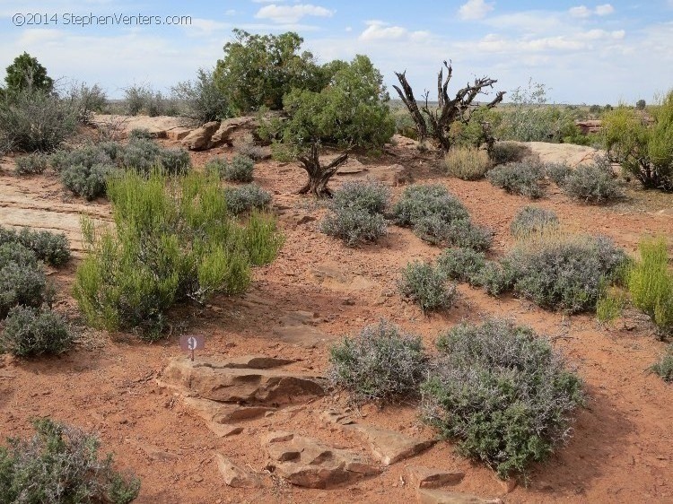 Mountain Biking in Moab 2013 - StephenVenters.com