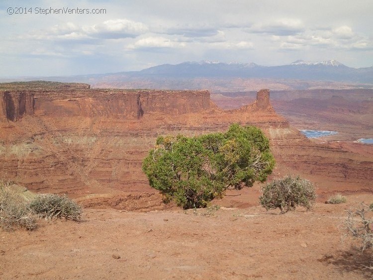 Mountain Biking in Moab 2013 - StephenVenters.com