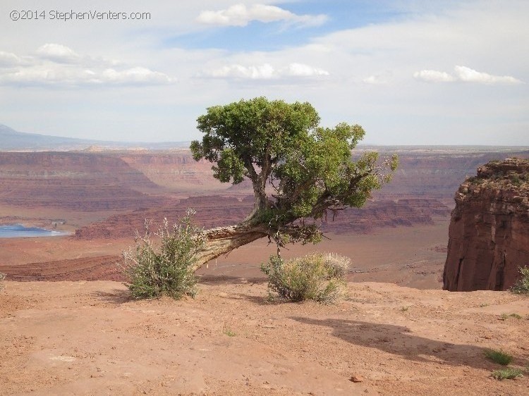 Mountain Biking in Moab 2013 - StephenVenters.com