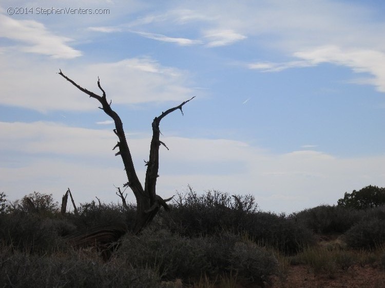 Mountain Biking in Moab 2013 - StephenVenters.com