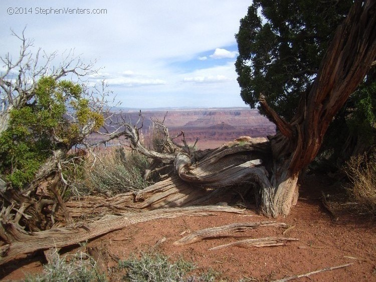 Mountain Biking in Moab 2013 - StephenVenters.com