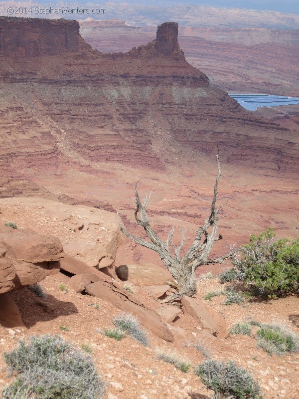 Mountain Biking in Moab 2013 - StephenVenters.com