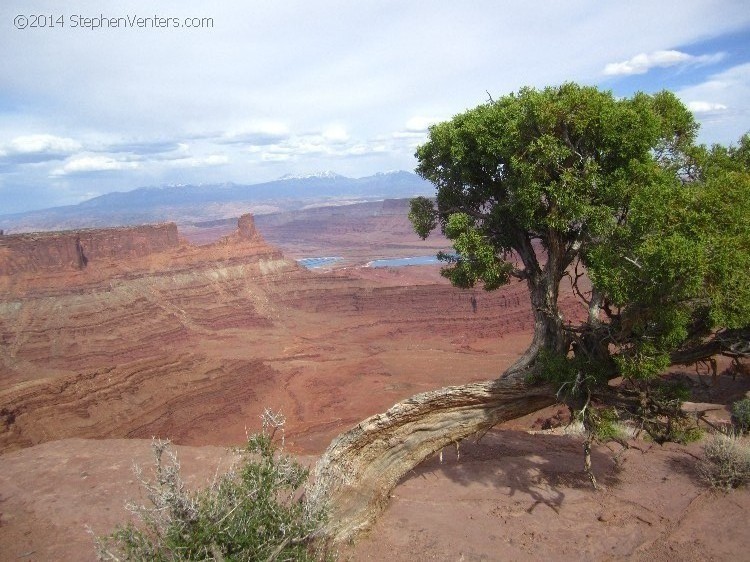 Mountain Biking in Moab 2013 - StephenVenters.com