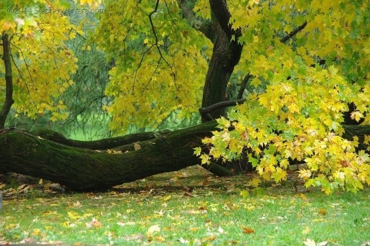 Fall in Upstate New York 2012 - StephenVenters.com