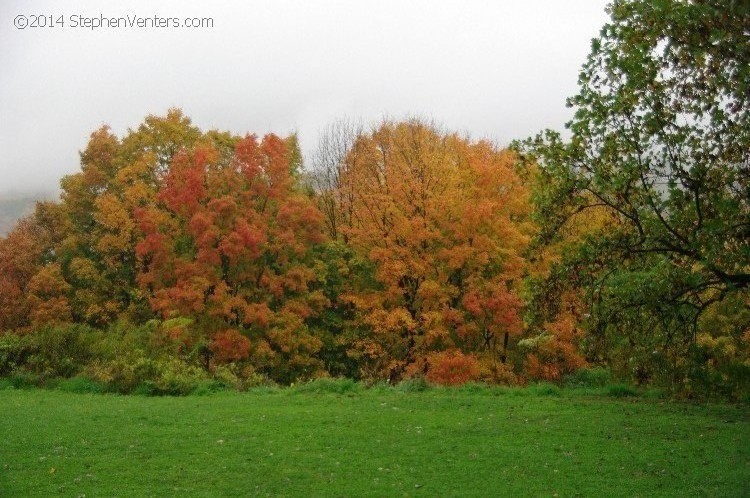 Fall in Upstate New York 2012 - StephenVenters.com