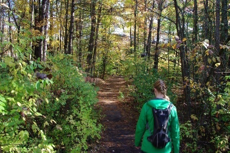 Fall in Upstate New York 2012 - StephenVenters.com