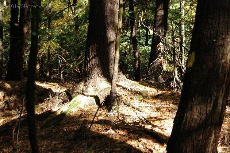 Fall in Upstate New York 2012 - StephenVenters.com