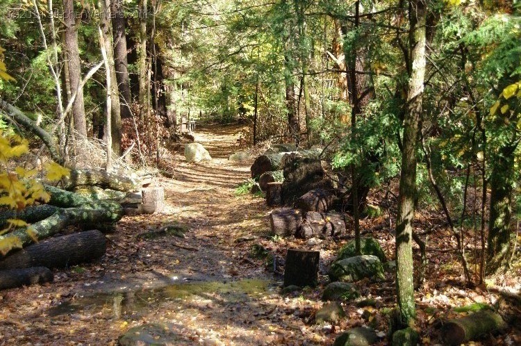 Fall in Upstate New York 2012 - StephenVenters.com