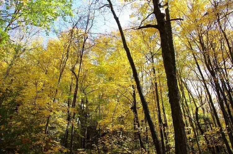 Fall in Upstate New York 2012 - StephenVenters.com