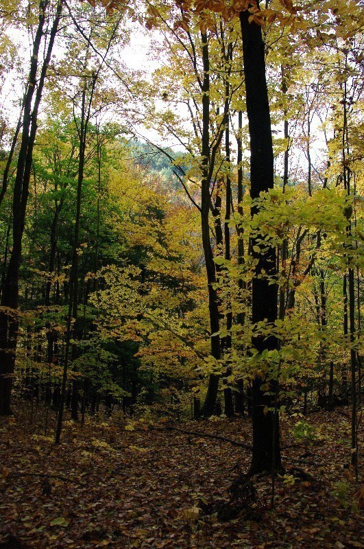 Fall in Upstate New York 2012 - StephenVenters.com