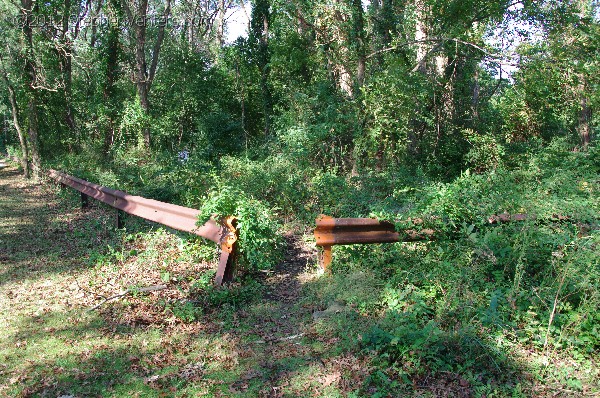 Trips for Kids Day at Cunningham Park 2012 - StephenVenters.com