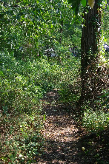 Trips for Kids Day at Cunningham Park 2012 - StephenVenters.com